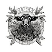 Black Sheep Cultivation | Peach Goblin 