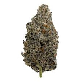 Buds - Black Truffle 