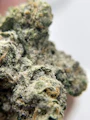 BLACK PEARL - Diamond Coated Indoor - Blackbeard's Breath - 3.5g | 1/8oz