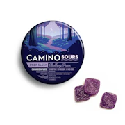 Blackberry Dream Sour Chews 100mg | Camino