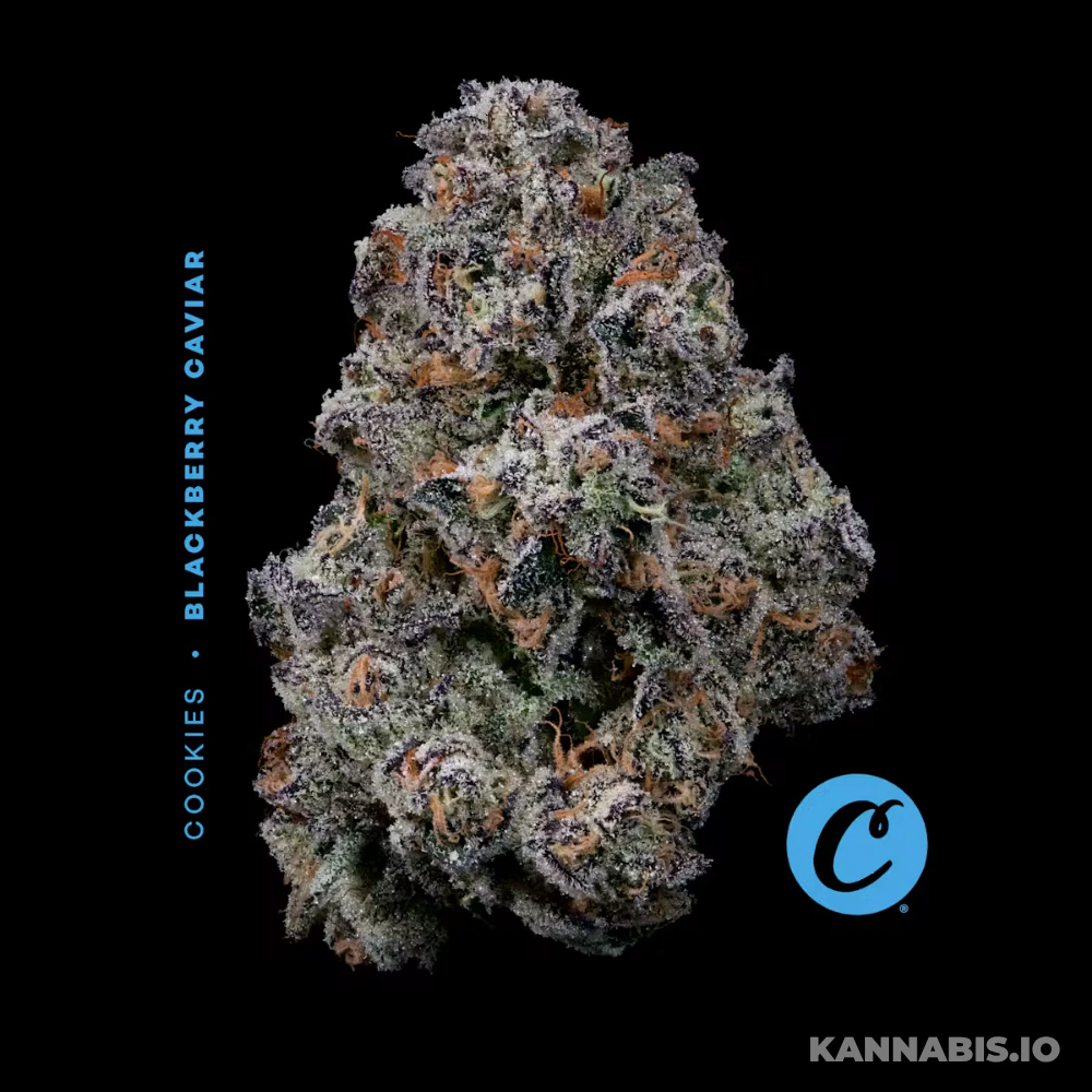 Cookies - Cookies - Blackberry Caviar - 7G Main Image