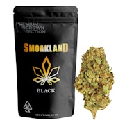 Black - Black Cherry Gelato (I) - 14g