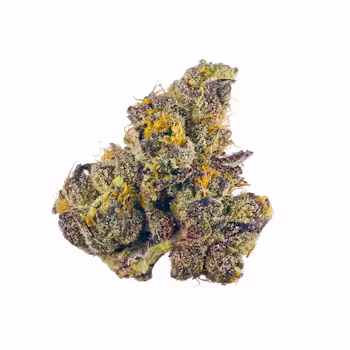 Blackout (Hybrid)