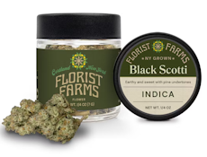 Black Scotti (7G Jar)