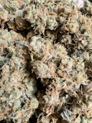 Blammo | Black Fly Farms