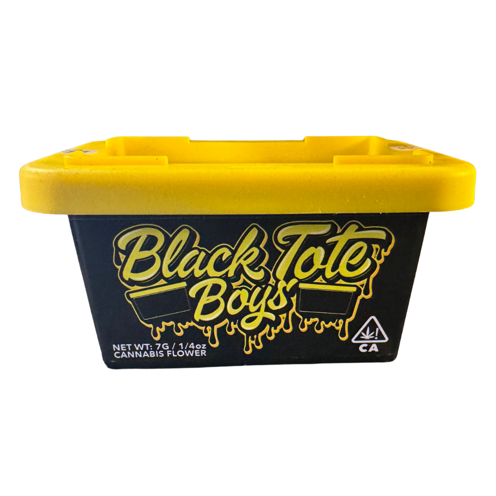 Black Tote Boys — Orange Creamsicle