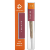 Canndescent - Charge (S) - Joint - 1g