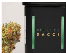 HOUSE OF SACCI: GARLIC SAUCE - 3.5G PREMIUM FLOWER