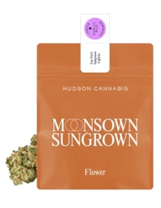 HUDSON CANNABIS - Hudson Cannabis: Garlic Bud - 3.5G