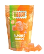 HiColor- Alfonso Mango- 100mg - Hybrid