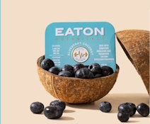 EATON BOTANICALS: BLUEBERRY COCONUT | COOL DOWN | [100MG] 