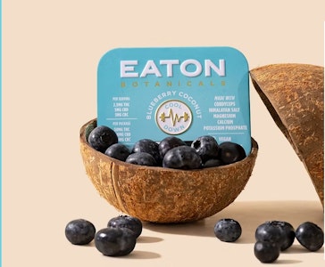 EATON BOTANICALS - EATON BOTANICALS: BLUEBERRY COCONUT | COOL DOWN | [100MG] 
