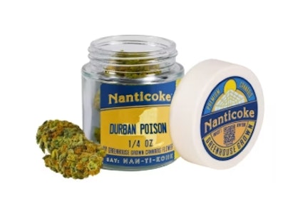 NANTICOKE - Nanticoke: Durban Poison - 7G (Glass Jar) 