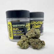Hashtag Honey: Gastopia | Indica | 3.5g |
