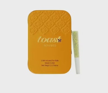 TOAST - Toast - Pineapple Punk - 0.50g [2.5g] 5 PK