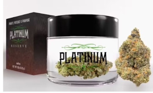 PLATINUM RESERVE - Platinum Reserve: Mango Haze 3.5g Flower