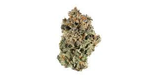 Flo - BLACK RUNTZ 1/8oz Main Image