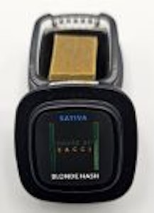 HOUSE OF SACCI - House of Sacci, Blonde Hash Sativa 1 Gram