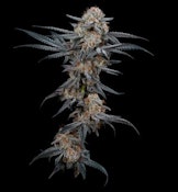 Blood Moon Flower - 3.5g - CMC