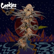 Blood Moon Flower - 3.5g - CMC