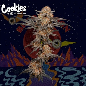 COMMCAN, INC. - Blood Moon Flower - 3.5g - CMC