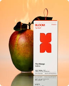 BLOOM - Fire Mango | Classic Surf | Disposable | 1g (Bloom)
