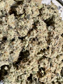 Bloomington Headband (Heirloom Cut) | Black Fly Farms