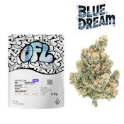 Blue Dream Premium Flower 3.5g