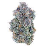 Fig Farms - Blue Face Indoor Flower 3.5g