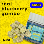 BUDD | Blueberry Gumbo | 3.5G Flower SMALLS