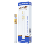 Blueberry Lemon Haze - Disposable - 1000mg