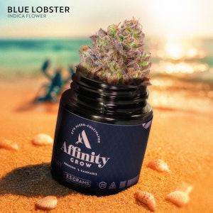 AFFINITY - Blue Lobster Flower T27.45% I 00743
