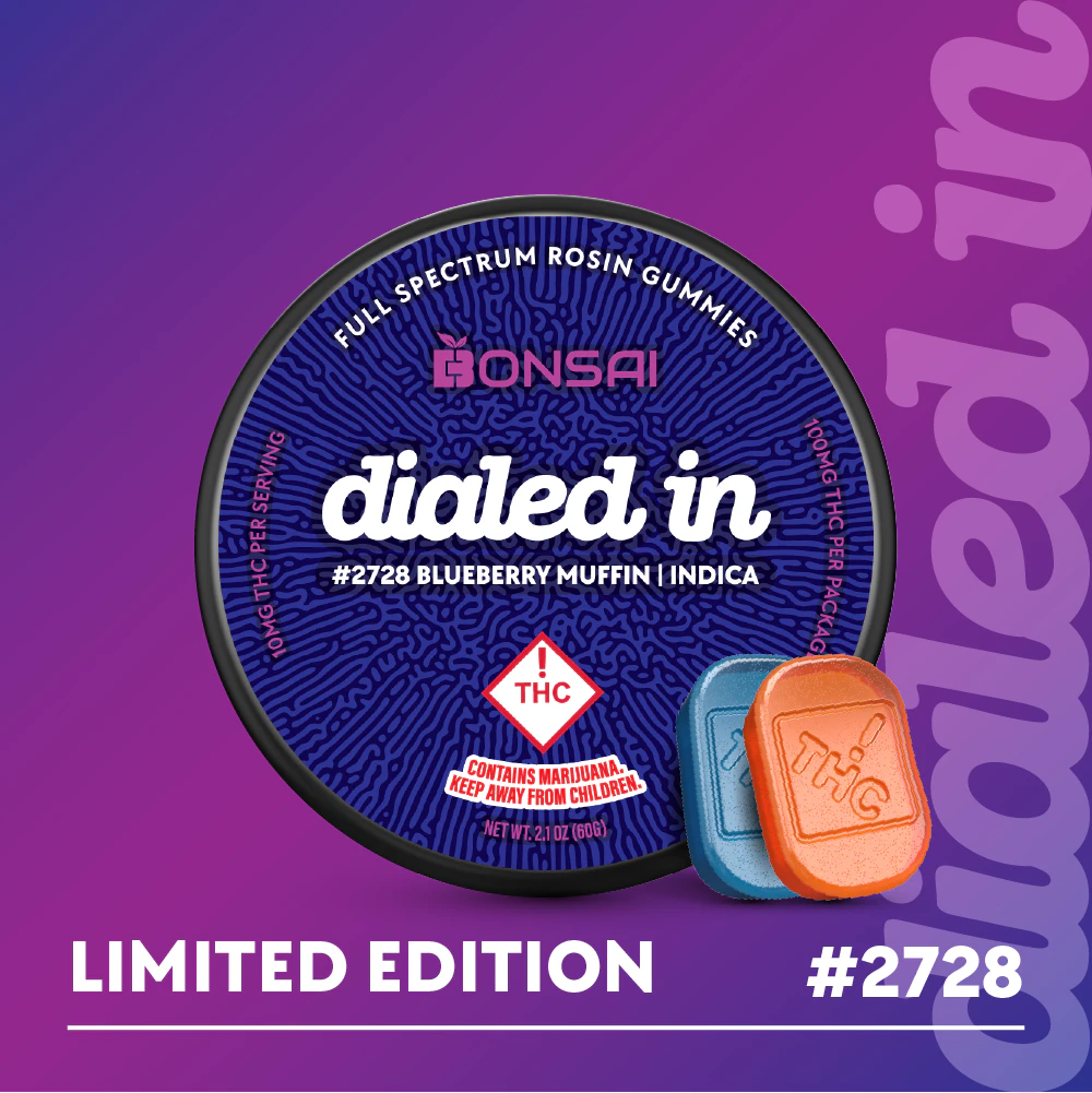 Dialed In - Dialed In - Gummies - Blueberry Muffin (I) - 100mg Main Image