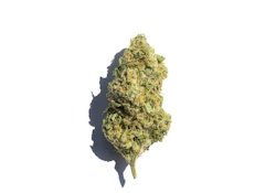 Coastal Roots | Blue Widow | 14g Flower | [I]