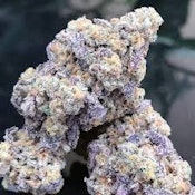 Bulk Flower | Plant Nerd | Blue Zushi