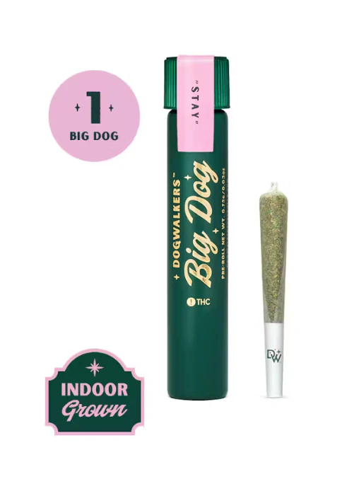 Dogwalkers - Blue Zashimi Pre-Roll Big Dogs Dogwalkers Main Image