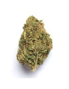 Buds - Blue Zushi
