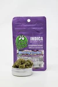 Eighth Brother - Eighth Brother - Blueberry Cookies Sungrown Smalls Flower 3.5g