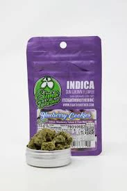 Eighth Brother - Eighth Brother - Blueberry Cookies Sungrown Smalls Flower 3.5g Main Image