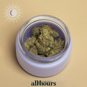 all:hours Blueberry Cup Cke 4850