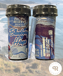 Pacific Reserve - Blueberry Haze - Preroll - 10 Pack - 7g