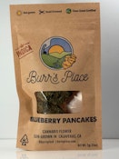 Burr's Place Blueberry Pancakes 1/4 PD 29%