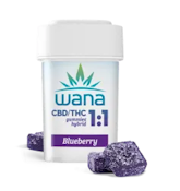 Sour Blueberry 10pk Gummies - 100mg