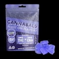 CANNANALS | BLUEBERRY DREAMS | 100MG