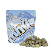 Traditional - Blue Donut Minis 5g