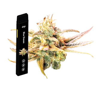 Drip - Blue Dream - Drip 2G Disposable