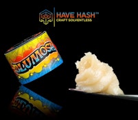 HAVE HASH - Cold Cure Rosin - Blumosa T2 - Concentrates - 1.0g
