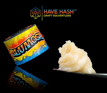HAVE HASH - HAVE HASH - Cold Cure Rosin - Blumosa T2 - Concentrates - 1.0g