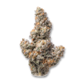 Oregrown Cuban Affair