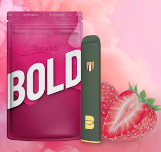 BOLD - Strawberry Disposable Pen - 1g